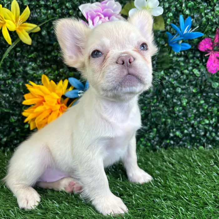 image_cropper_06B6CBB9-5C8F-48A4-AE4D-51F73754E9D1-15674-0000066EF81DE293.jpg image