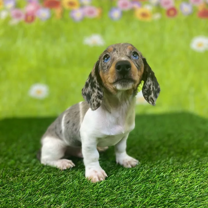 image_cropper_6FD98720-6BE3-4D4C-972E-355C93A7C910-61259-0000118C7F9B1EB3.jpg