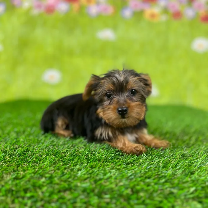 image_cropper_5D7550CA-3AE3-44FA-90B7-BD60BCFF1D20-84694-00001E99D87264F0.jpg