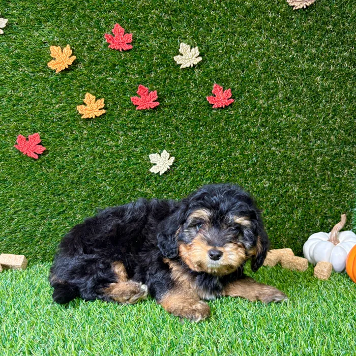 image_cropper_338525F2-16FD-41DB-96ED-C46C7AB89164-30703-00000782450D3E60.jpg