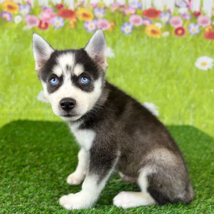 image_cropper_F1ABFBB7-C3A8-49D4-AC95-FE25C0057177-314-000014C2C12F6DB6.jpg