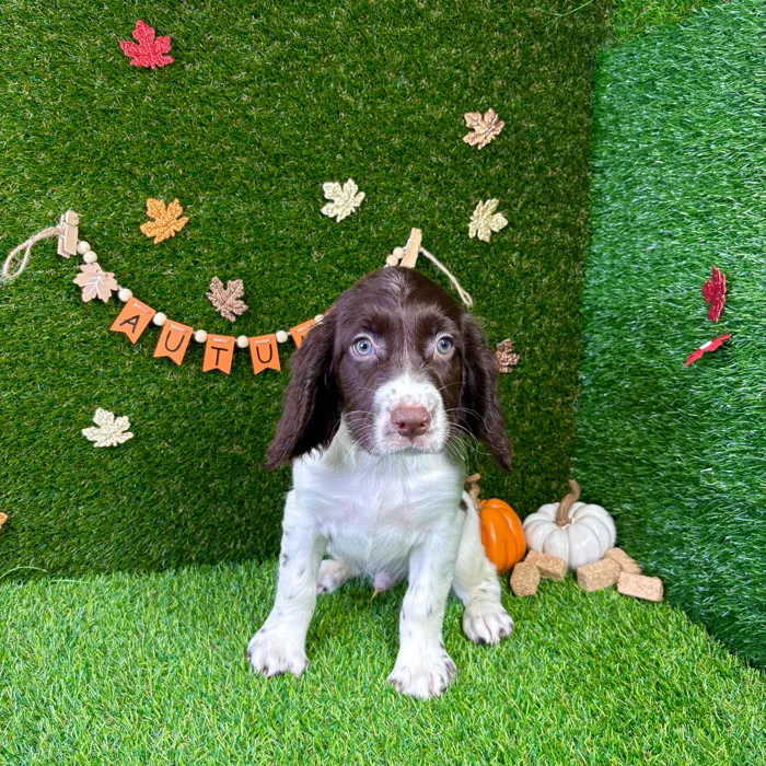 image_cropper_F638B75F-9814-4778-AD45-187FD8389BB6-49829-00003DCFF2D69F06.jpg