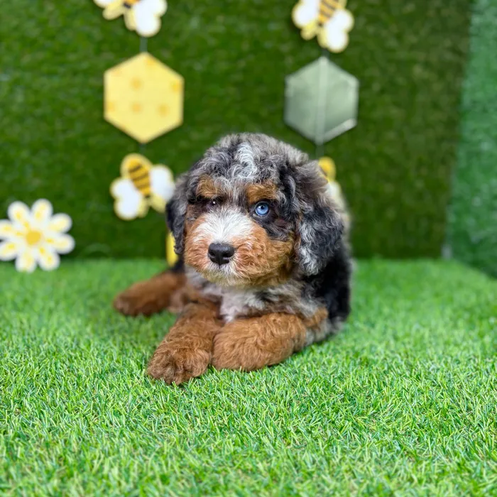 image_cropper_A700AE0E-02FB-4EC5-91AC-73E5EF95162B-25514-00000788A729EE46.jpg